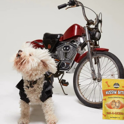 Freeze Dried Dog & Cat Treats – Single Ingredient, High Protein, Grain Free | Natural Cat & Dog Training Snacks, Human-Grade Sweet Potato (Yam)