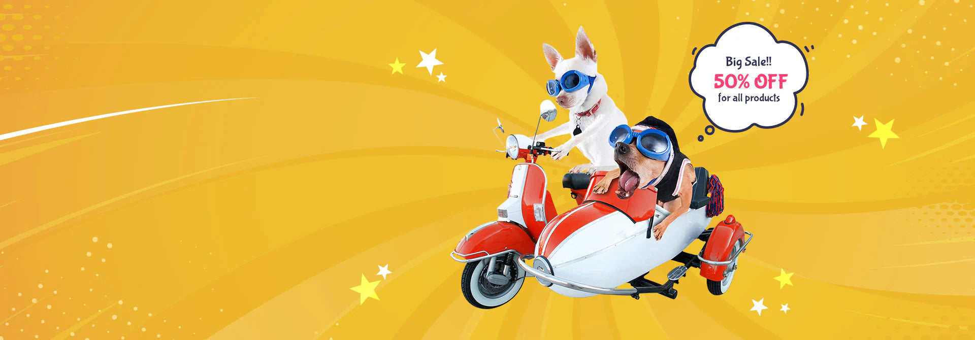 Premium Essentials for Every Paw