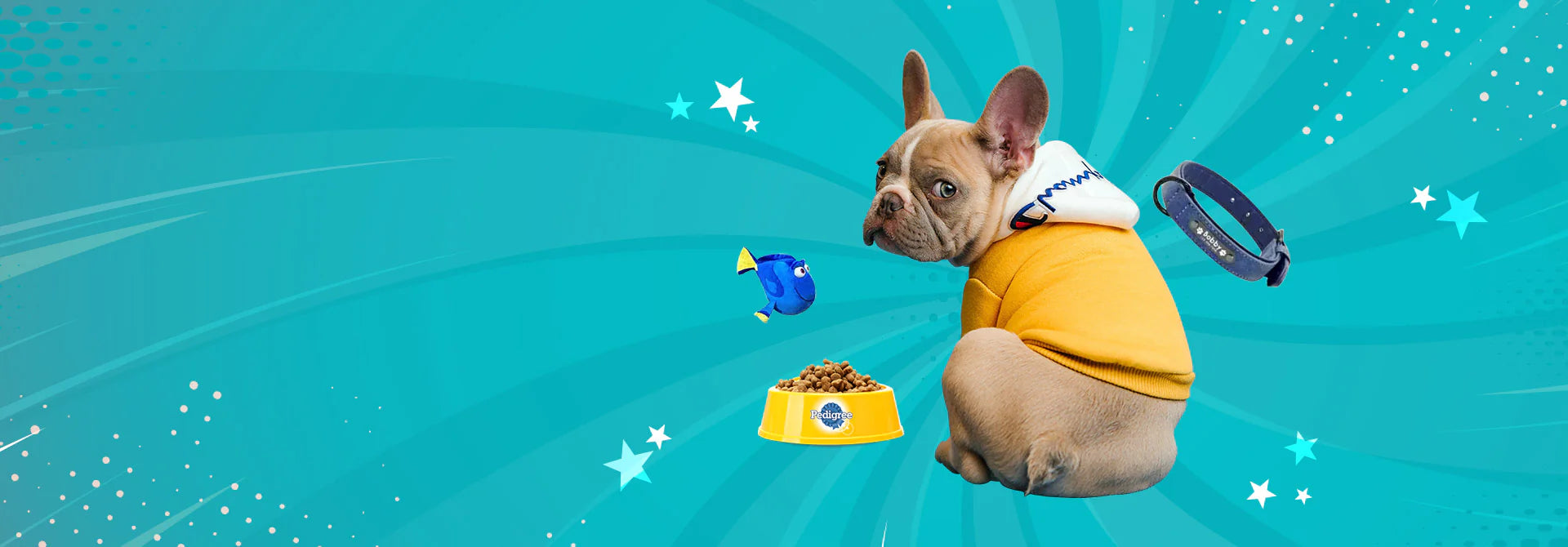 Luxury Living for Your Pets